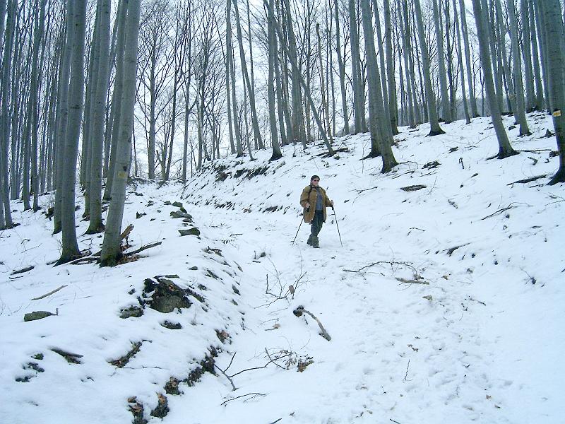 20110219 046.jpg
